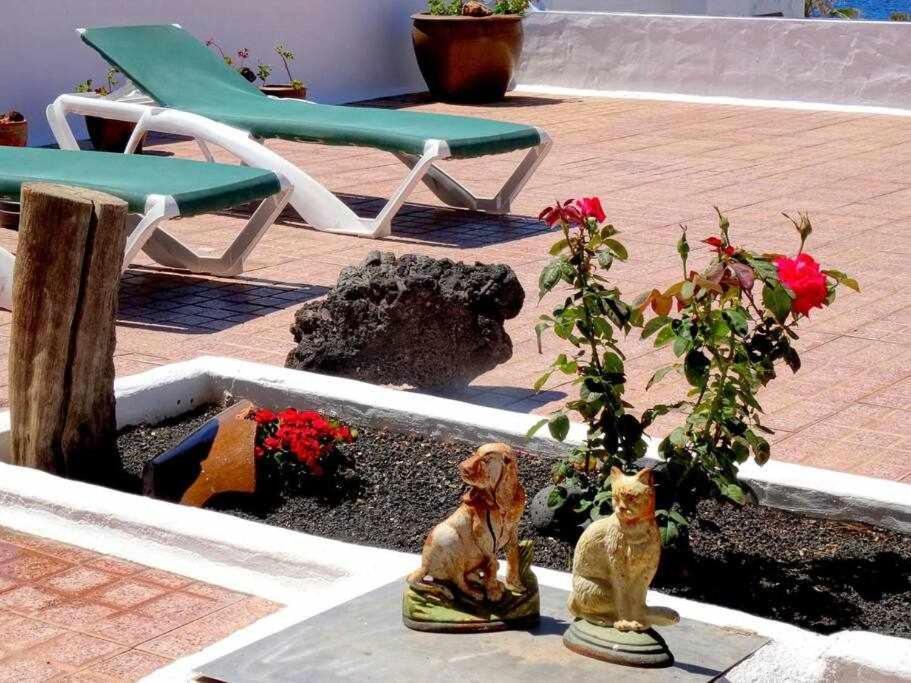 Casa Descanso Con Jacuzzi En Playa Quemada Dış mekan fotoğraf